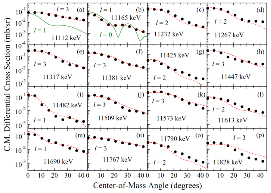 Neuron Transfer Studies Figure 2