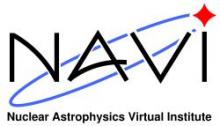 NAVI Logo